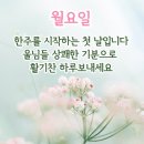 이성운수 Daum카페