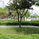 화로닭발 남악점 이미지