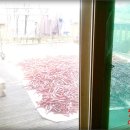 유가네공인중개사사무소 이미지