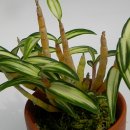 무학농원2 이미지