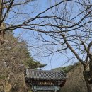 아라메길(도비산) 이미지