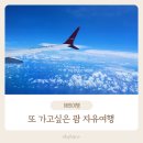 처음 떠난 가족 해외 자유여행, 괌 3박 4일 기록