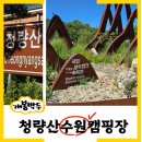 가정지천 | 캠핑장미리보기(2) 봉화청량산캠핑장1박2일 카라반 사슴이용후기/봉화 꼭 가볼만한곳 국립백두대간수목원