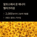 알프스마트 | 알프리쉬 헬리크리섬 기미/잡티 앰플 추천 솔직 이용 후기