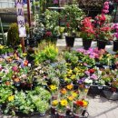 유정화원 이미지