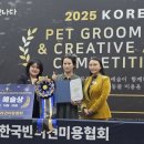 로댕 펫 살롱 이미지