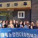 버섯마루 이미지