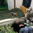 서래로10길 9 이미지