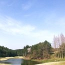 대성인터내셔날 이미지