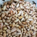 상안농장 이미지