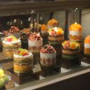 둔산중로-34 | 대전로그 ⋆˚🐾˖°