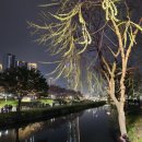온천천 어린왕자 토 | 연제고분판타지축제 후기 박지현 무대와 온천천 벚꽃 야경까지