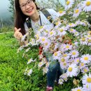 김홍걸 교수님의 37기 핵심 스피치강의 산동 경운대 본관