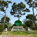 무늬만 쏭프로 골프투어 이미지