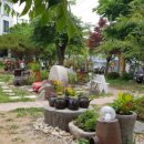 나들목가든 이미지