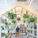 대흥 은행나무길 이미지