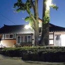 큰나무민박 이미지