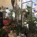 하대동113 이미지