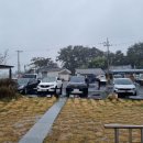 성덕면사무소 이미지