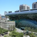 장하로 일원 이미지