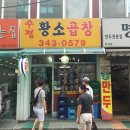 수정황소곱창 이미지