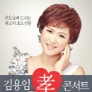 효콘서트 이미지