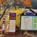 오전2리생달 이미지