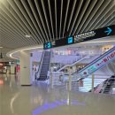 터미널관광안내소 | 아이와 마카오 나이트버스 투어 후기-자리 추천부터 꿀팁까지 정리