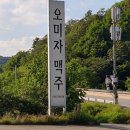 수강상회