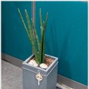 회룡한의원 이미지