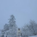 기다림의 연속 최악의날씨 무주 덕유산 곤돌라 탑승후기 주차장 대설주의보 등산로차단