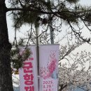 미카엘 | 늦은 후기, 진해 벚꽃축제, 미카엘셰프, 익덕해장, 마창대교