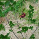 비전농장 이미지