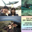 협동조합청청