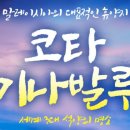 가야투어주