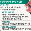 MS 이미지