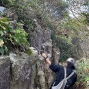 ⛰️전남100대명산 ‘해남두륜산’ 등린이 최단코스후기(+해남당일치기여행)