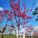 설봉공원 이미지