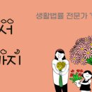법무사사무소여름 이미지