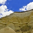 화이트벨리 이미지