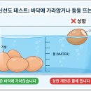 계란 신선도 확인법 및 보관 온도 기준 이미지