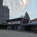 식장산 숲길 | 1박 2일 유잼도시 대전여행 - 천상의 정원 + 식장산 + 빵빵런