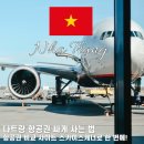 스카이드림투어 | 베트남 나트랑 항공권 싸게 사는 법｜스카이스캐너 최저가
