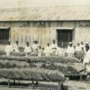 조인호 농장 이미지