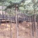 늘솔길공원1 이미지