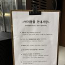 연못이 있는 풍경 | 연희동 안개 연못이 있는 대형카페 새라울 후기
