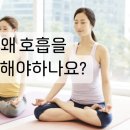 개포요가정