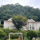 세르니띠 이미지