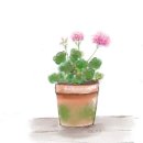 오도재몰랑카페 이미지