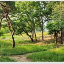 안경나라송천점 이미지